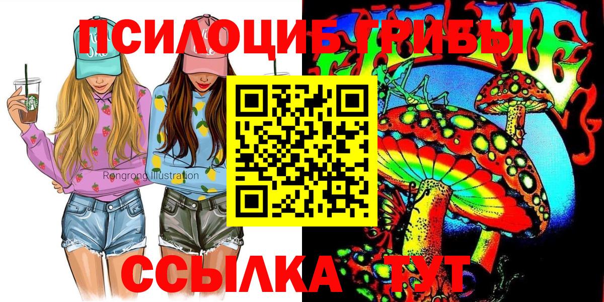 Выкса  Галлюциногенные грибы мухоморы  купить наркотики цена  Вход с VPN 