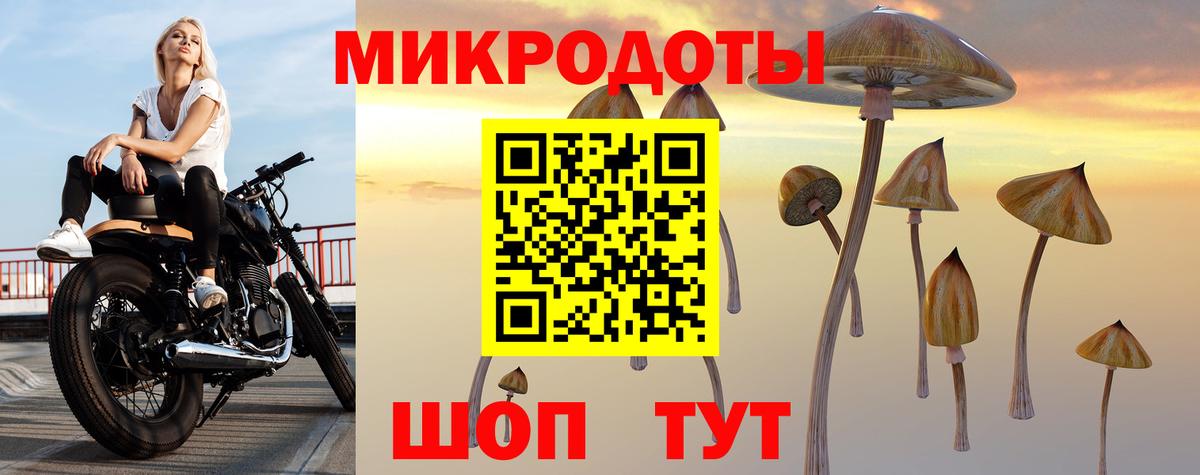 Галлюциногенные грибы Magic Shrooms Выкса